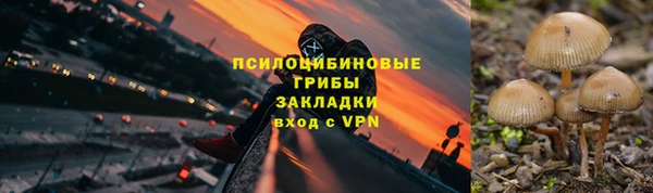 ПСИЛОЦИБИНОВЫЕ ГРИБЫ Алексин